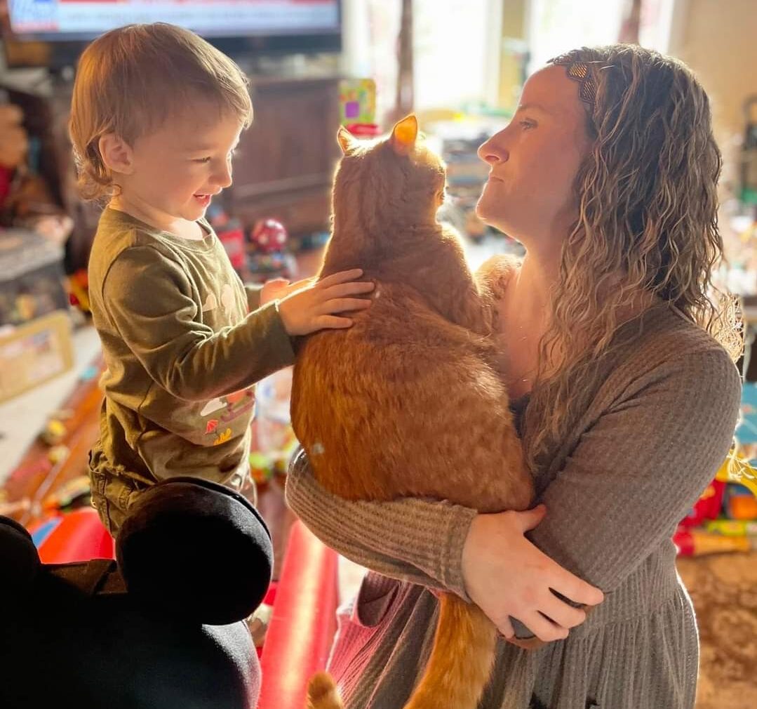 Veterinarian in Gallatin, TN